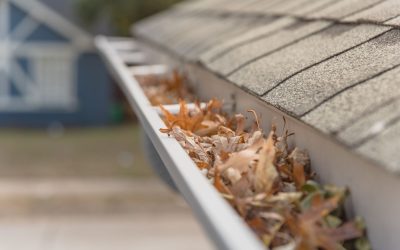 Should I Have Seamless Gutters and Leaf Guards?